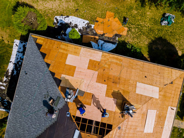 Quick and Trustworthy Emergency Roof Repair Services in Coker, AL