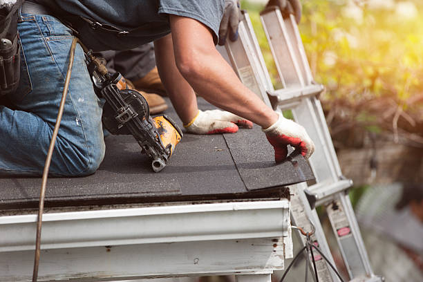 Professional Roofing Contractor in Coker, AL